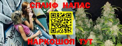 МДПВ Пенза
