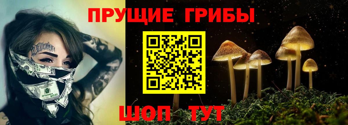 Псилоцибиновые грибы прущие грибы  Вход с VPN  Сергиев Посад  Псилоцибиновые грибы GOLDEN TEACHER 